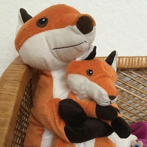 Fuchsmutter und Junges